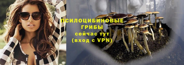 прущая мука Белокуриха